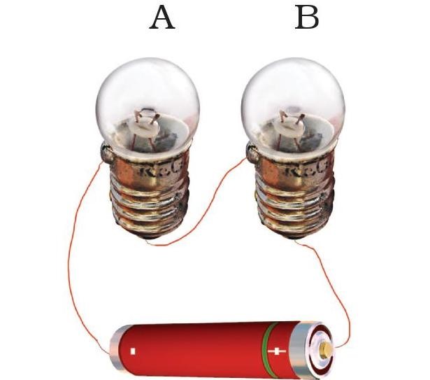 Science Class 6 Chapter 12 Exemplar