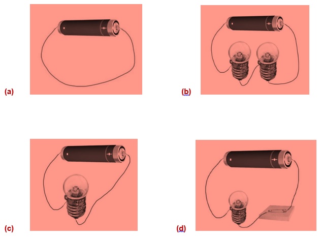 Science Class 6 Chapter 12 Exemplar