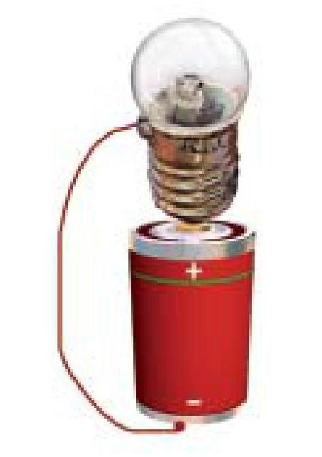 Science Class 6 Chapter 12 Exemplar