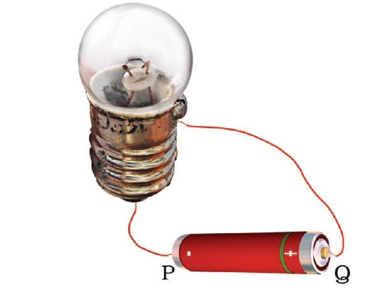 Science Class 6 Chapter 12 Exemplar