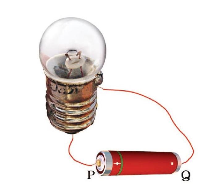 Science Class 6 Chapter 12 Exemplar