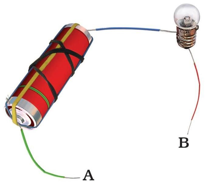 Science Class 6 Chapter 12 Exemplar