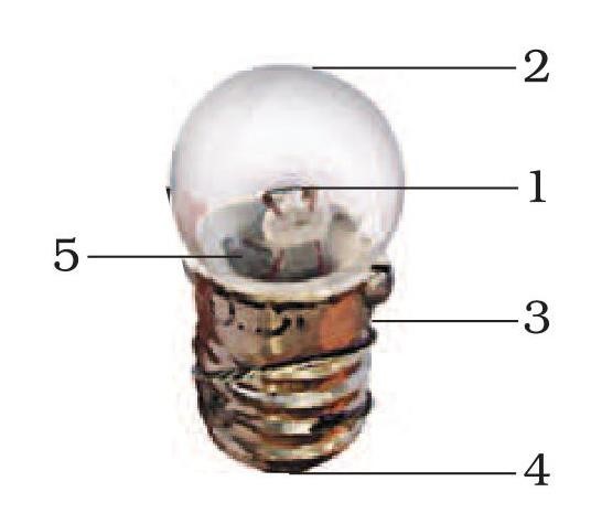 Science Class 6 Chapter 12 Exemplar