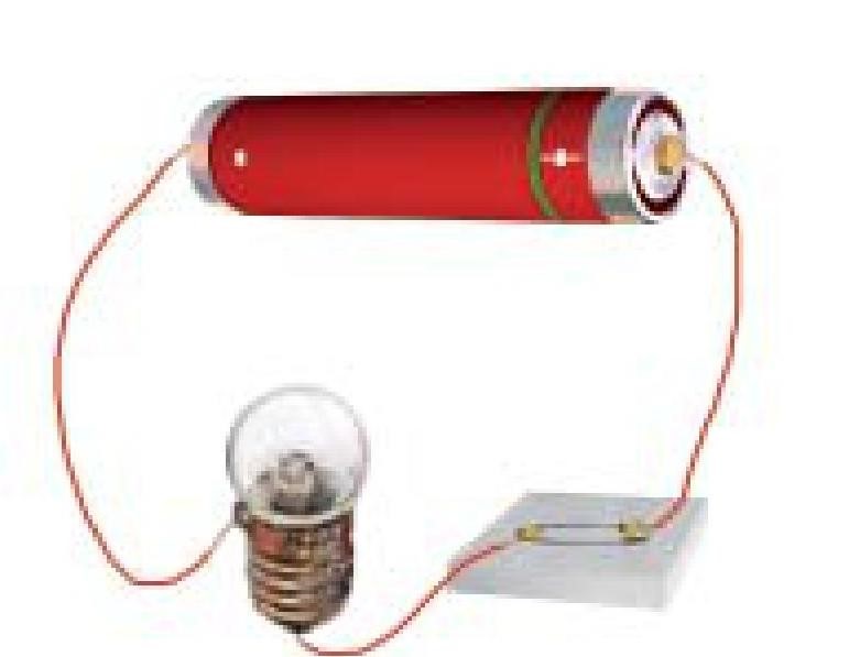 Science Class 6 Chapter 12 Exemplar