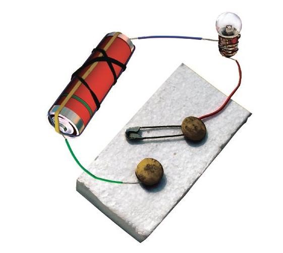 Science Class 6 Chapter 12 Exemplar