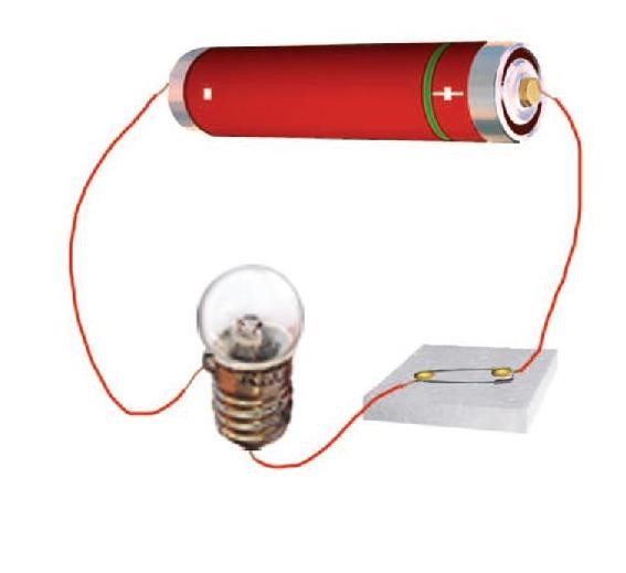 Science Class 6 Chapter 12 Exemplar