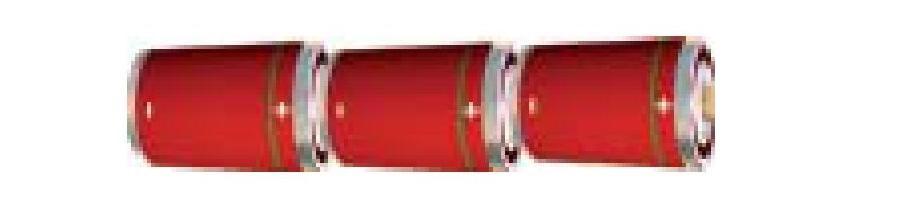 Science Class 6 Chapter 12 Exemplar