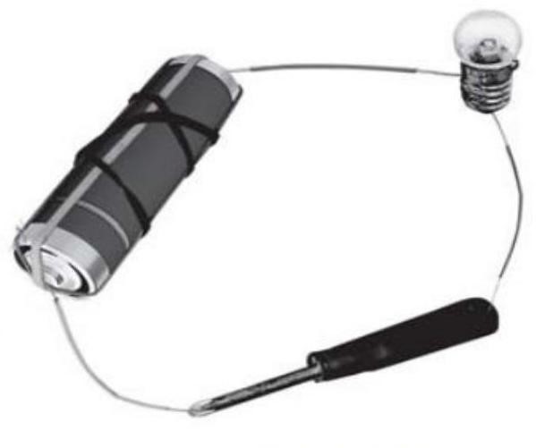 Science Class 6 Chapter 1 NCERT