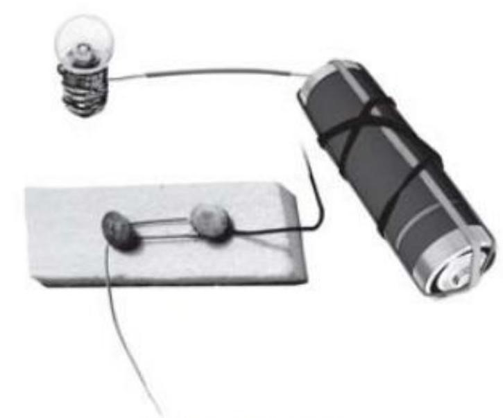 Science Class 6 Chapter 1 NCERT