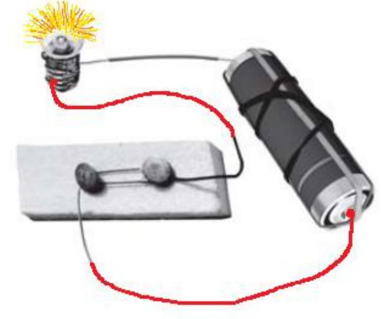 Science Class 6 Chapter 1 NCERT