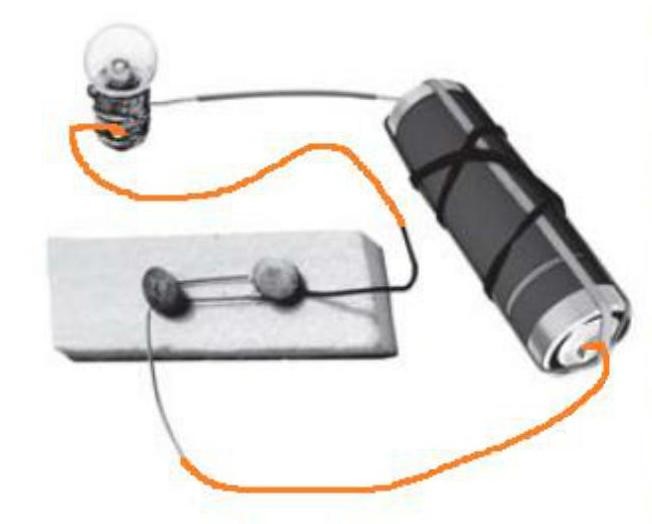 Science Class 6 Chapter 1 NCERT