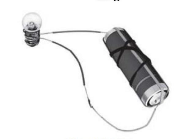 Science Class 6 Chapter 1 NCERT