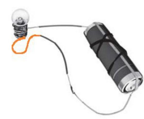 Science Class 6 Chapter 1 NCERT