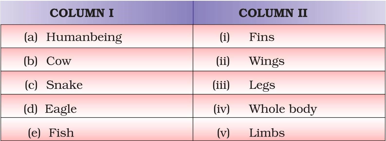 Science Class 6 Chapter 8 Exemplar