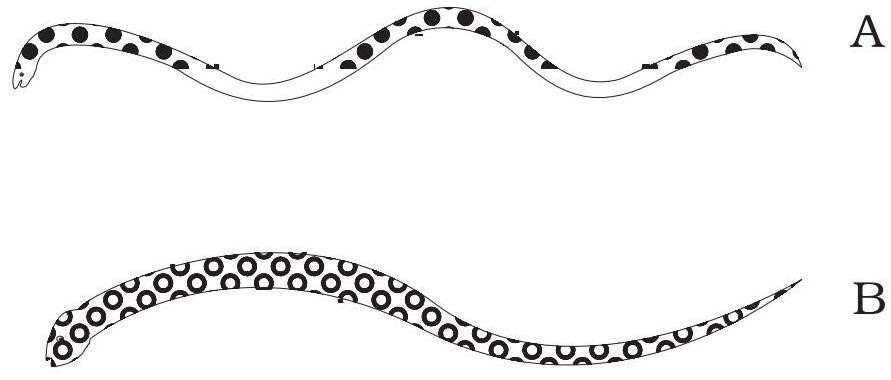 Science Class 6 Chapter 8 Exemplar