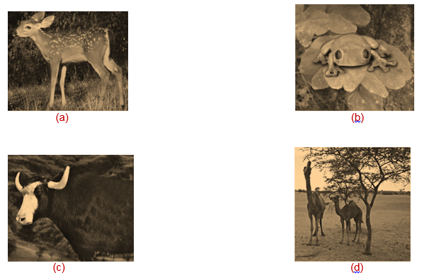 Science Class 6 Chapter 1 Exemplar