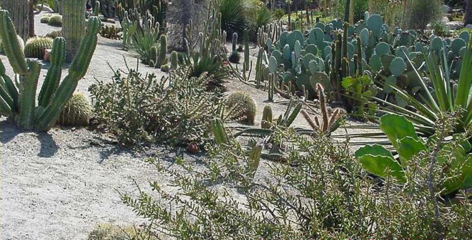 Science Class 6 Chapter 1 NCERT