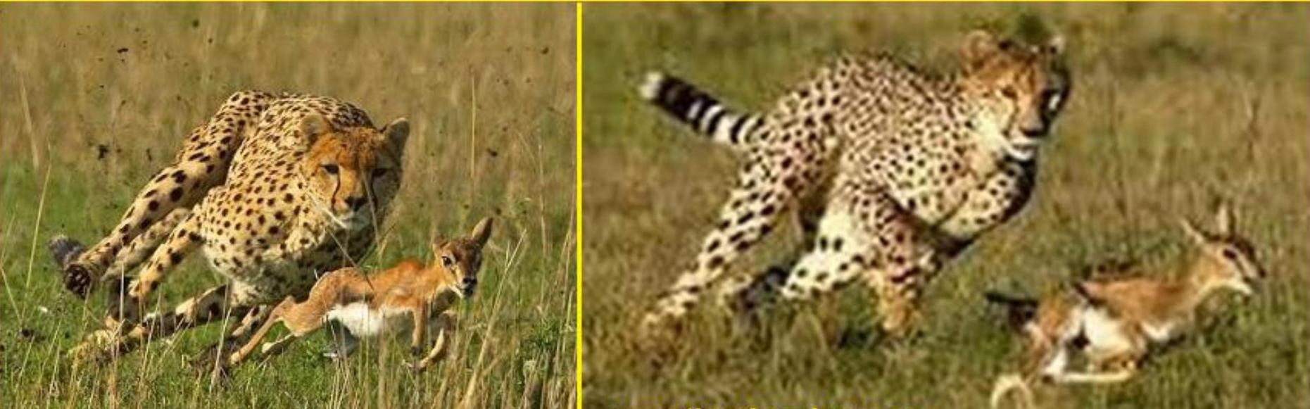 Science Class 6 Chapter 9 NCERT