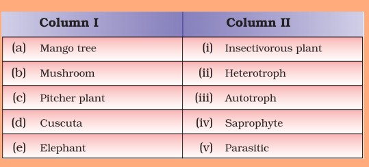 Science Class 7 Chapter 1 Exemplar