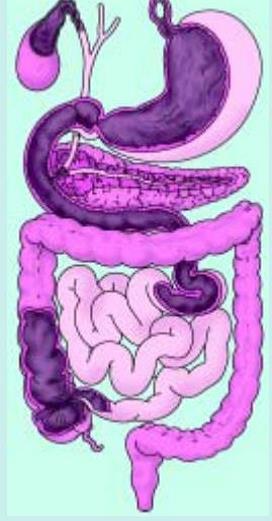 Science Class 7 Chapter 1 NCERT