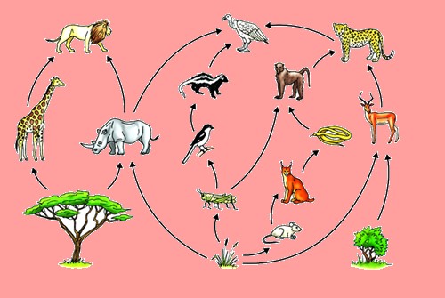 Science Class 7 Chapter 1 NCERT