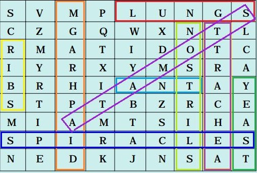 Science Class 7 Chapter 10 NCERT