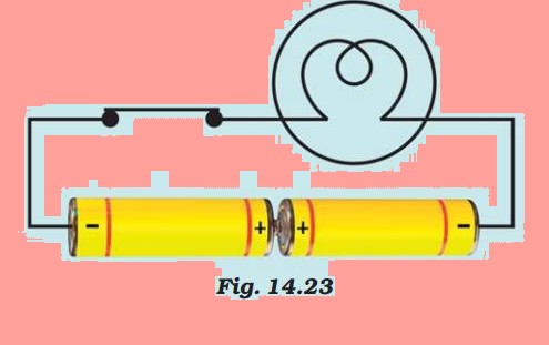 Science Class 7 Chapter 14 NCERT