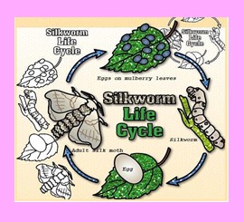 Science Class 7 Chapter 3 NCERT