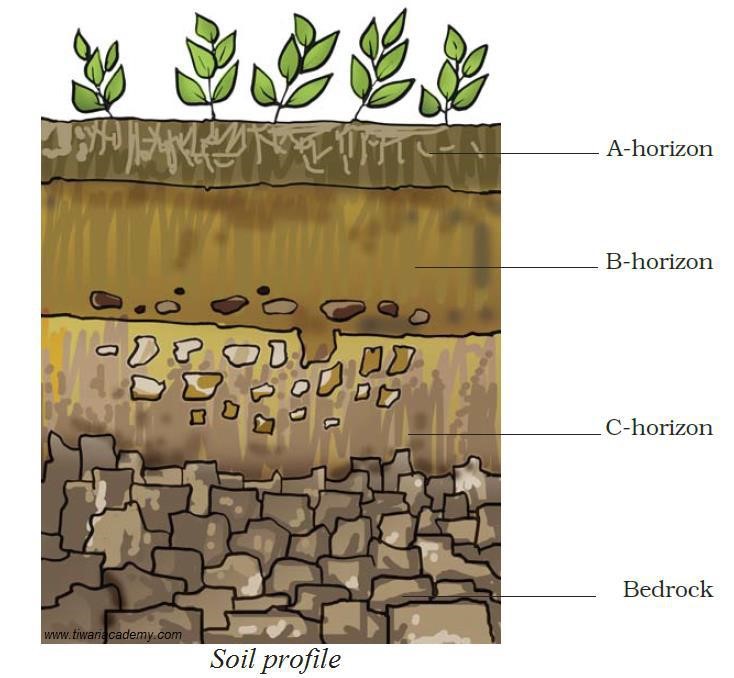 Science Class 7 Chapter 9 NCERT