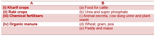Science Class 8 Chapter 1 NCERT