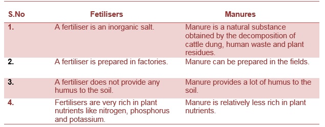 Science Class 8 Chapter 1 NCERT