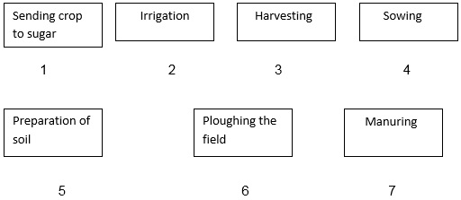 Science Class 8 Chapter 1 NCERT