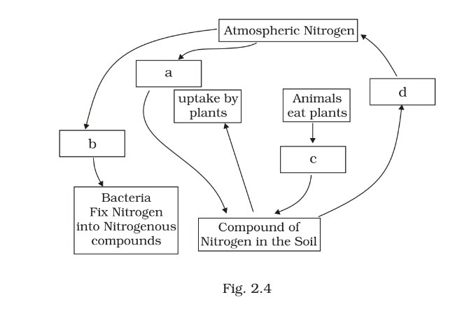 Science Class 8 Chapter 1 Exemplar