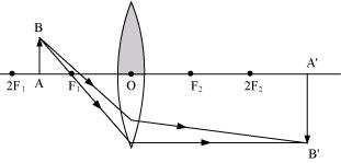 Science Class 10 Chapter 10 NCERT