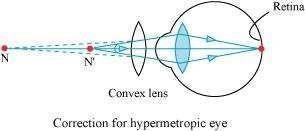 Science Class 10 Chapter 11 NCERT