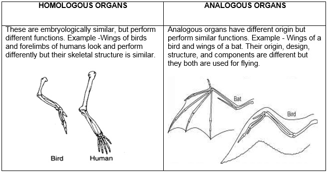 Science Class 10 Chapter 9 NCERT