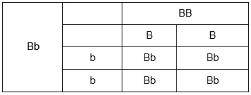 Science Class 10 Chapter 9 NCERT