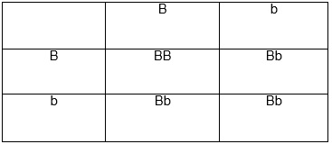 Science Class 10 Chapter 9 NCERT
