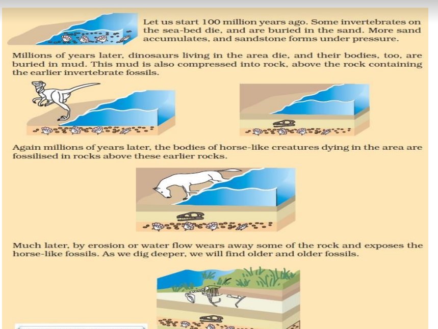 Science Class 10 Chapter 9 NCERT