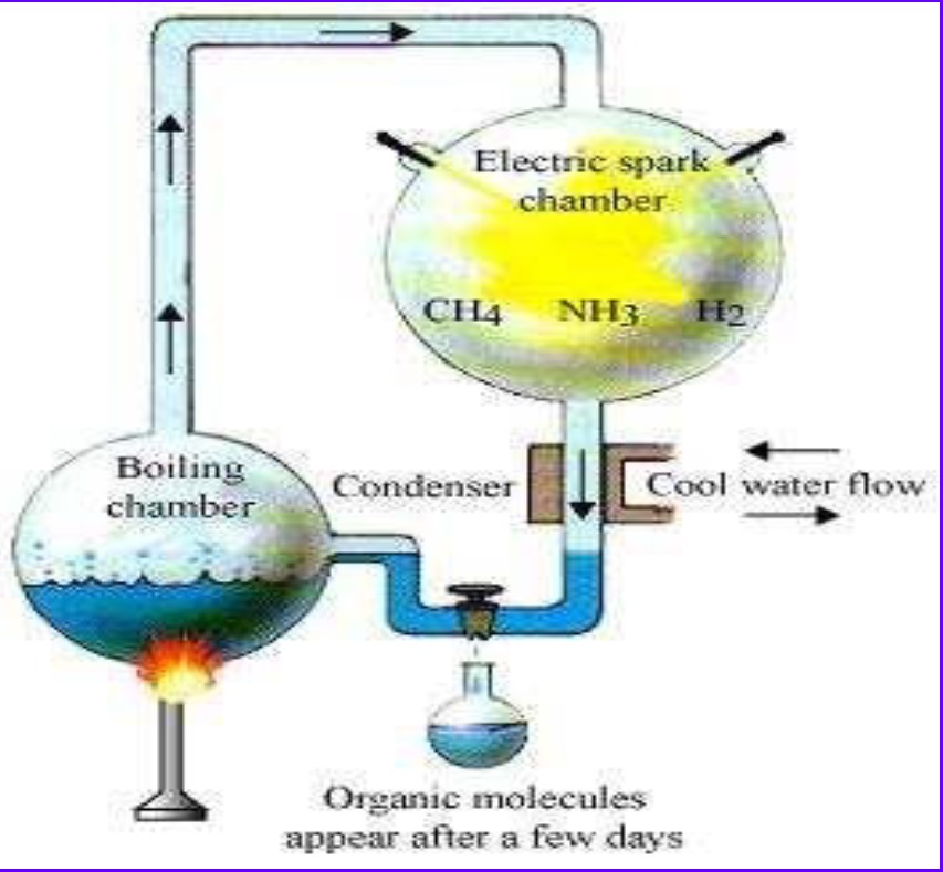 Science Class 10 Chapter 9 NCERT