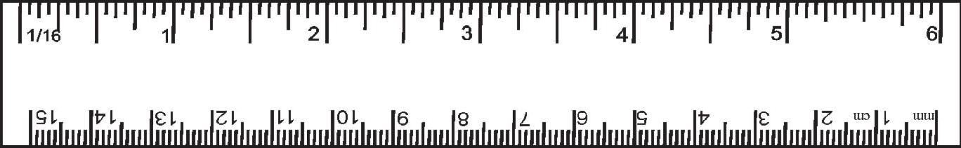 Science Class 6 Chapter 10 Exemplar