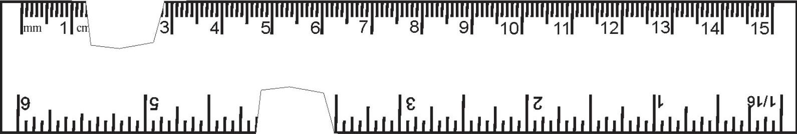 Science Class 6 Chapter 10 Exemplar
