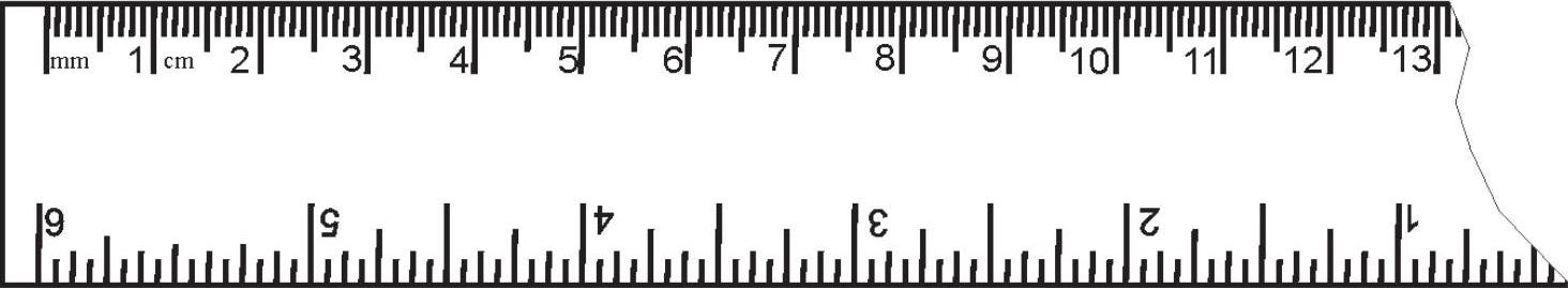 Science Class 6 Chapter 10 Exemplar