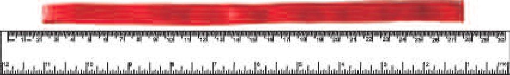 Science Class 6 Chapter 10 Exemplar