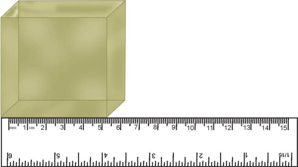 Science Class 6 Chapter 10 Exemplar