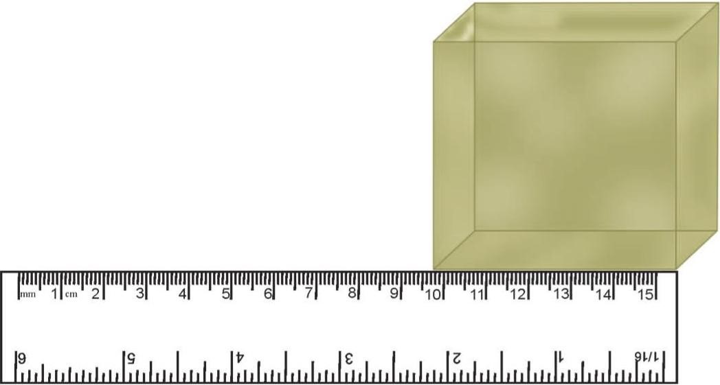 Science Class 6 Chapter 10 Exemplar