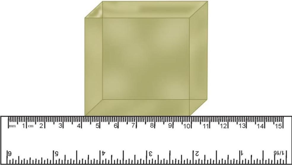 Science Class 6 Chapter 10 Exemplar