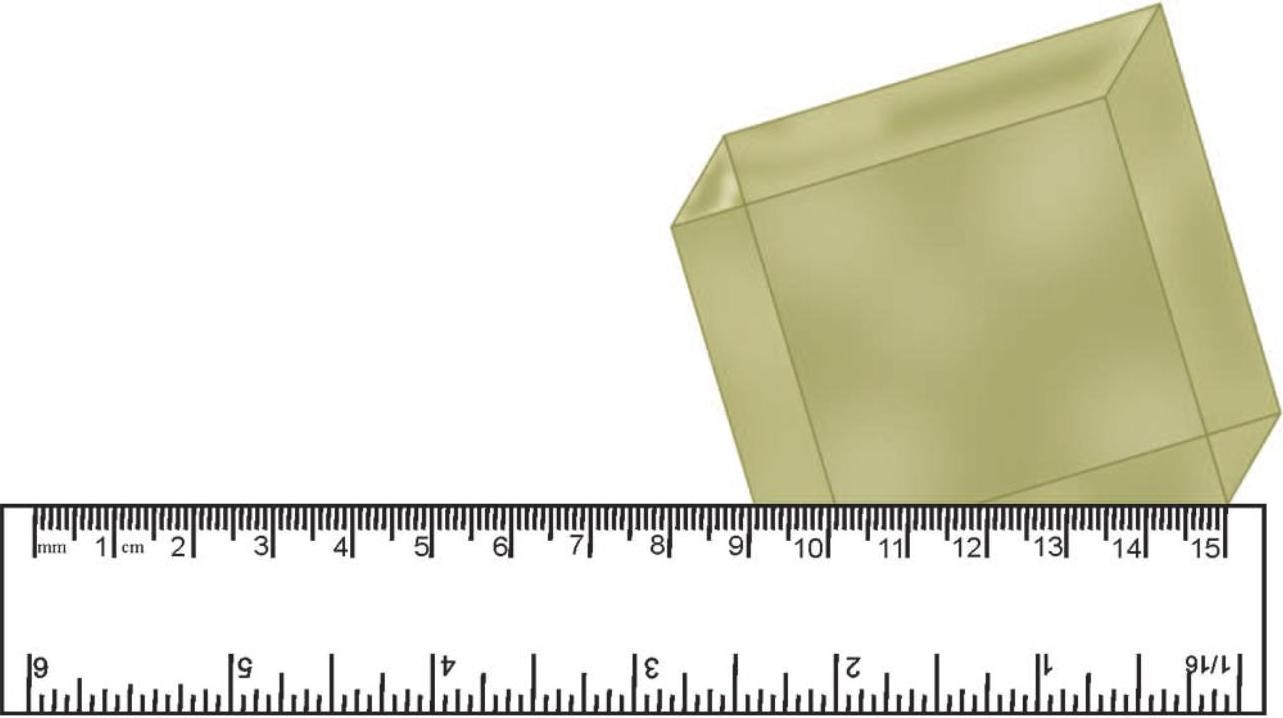 Science Class 6 Chapter 10 Exemplar