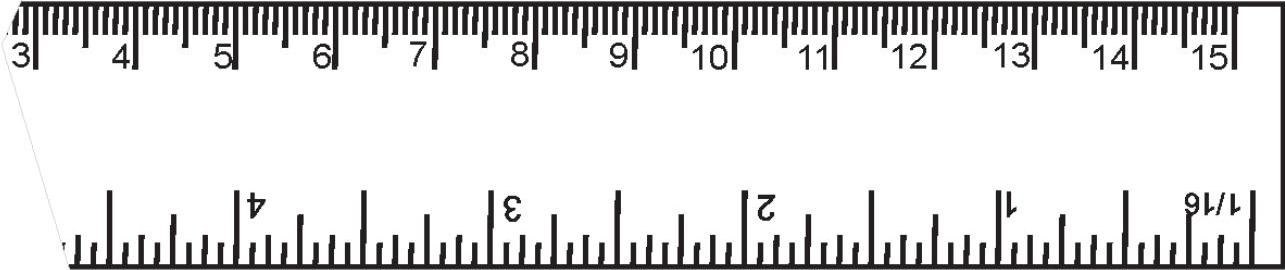 Science Class 6 Chapter 10 Exemplar