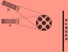Science Class 6 Chapter 1 Exemplar